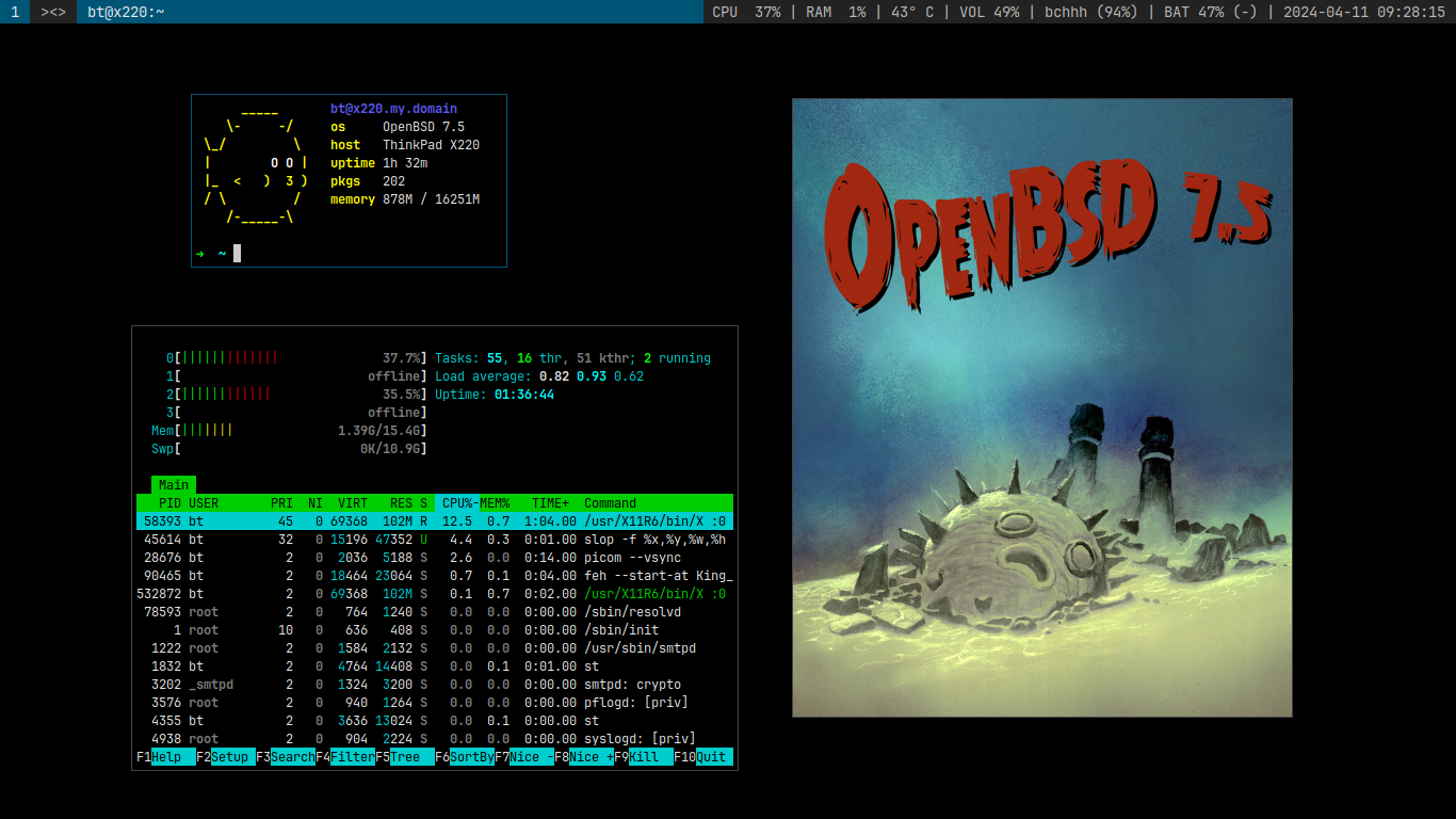 Screenshot of dwm running on
OpenBSD